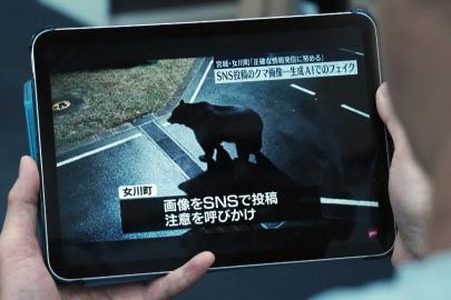 Japonya'da ayılara karşı yeni uyarı işaretleri