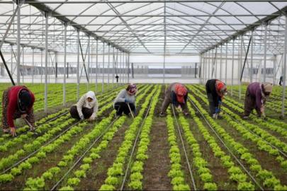 Bölgesel kalkınma için 15,6 milyar liralık yatırım yapılacak