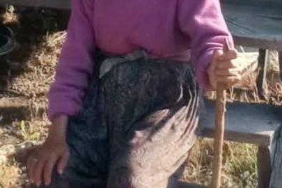 Hayvanlarını otlatmaya gidip kayboldu