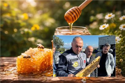 İller bazında 2025 yılı Türkiye arıcılık istatistikleri açıklandı