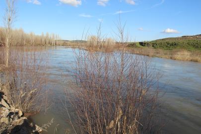 On Gözlü Köprü çevresinde su yükseldi: Dicle Nehri'nde son durum