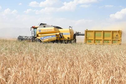 Tarımsal girdi fiyat endeksi arttı