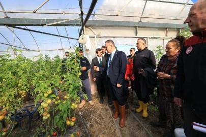 Vali Akbıyık'tan afetten zarar gören seralarda inceleme