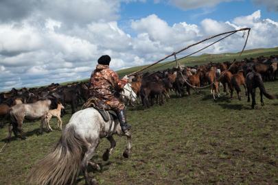 Kazakistan'da at eti tüketimi rekor seviyeye ulaştı