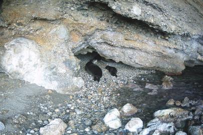 'Kıyı mağaraların korunması hayati önem taşıyor'