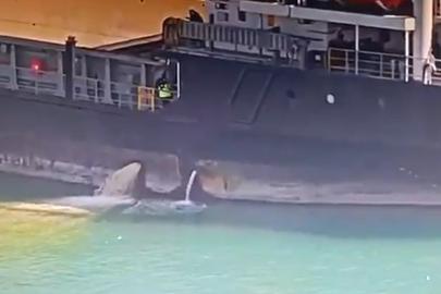 Mersin Limanı’nda denizi kirleten gemiye 13 milyon lira ceza