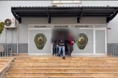 Şanlıurfa'da 30 milyon liralık dolandırıcılık: 2 tutuklama