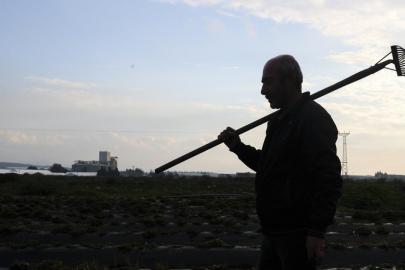 Tarım işçilerinin günlük ücreti 2025'te arttı