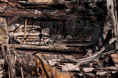 ABD'nin Georgia eyaletinde orman yangınlarında 120'den fazla ev kül oldu