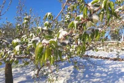 Elazığ için zirai don uyarısı