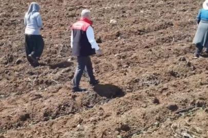 Elazığ’da domates üretiminde yeni sezon  başladı