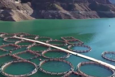 Erzurum’da 3,38 milyar destekle 5 bin 226 kişilik istihdam oluştu