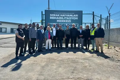 Kayseri Büyükşehir'den can dostlar için örnek hizmet