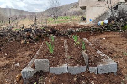 Öldürülen anne ve oğul Mardin’de yan yana defnedildi