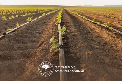 Tarımsal sulama yatırımlarına hibe desteği artırıldı