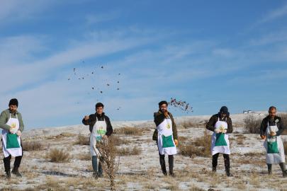 Yozgat’ta ağaçlandırma çalışmaları kapsamında sedir tohumları toprakla buluşturuldu