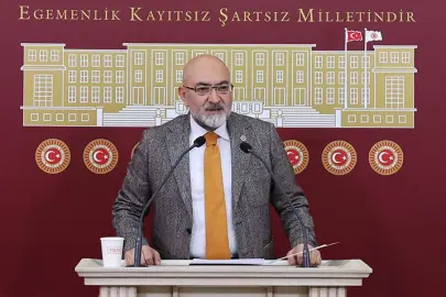 AK Partili Cıngı: Başıboş sorunu artık kamu güvenliği meselesi