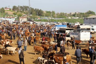 Diyarbakır Hayvan Borsası’nda besicilerin çilesi bitmiyor