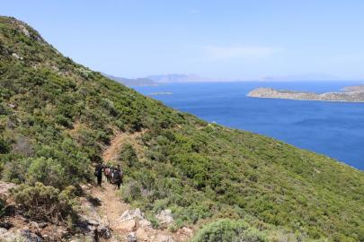 Karia Yolu ve Phoenix Ekoturizm Alanı'nda sona gelindi
