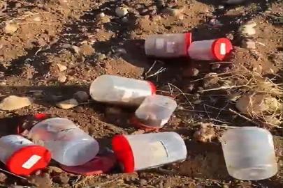 Şanlıurfa Valiliği mezarlıkta bulunan cenin ve uzuvlarla ilgili inceleme başlattı