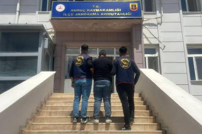 Şanlıurfa’da aranan 2 hükümlü yakalandı