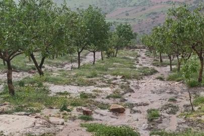 Siirt’te dolu yağışı tarım alanlarında zarara yol açtı