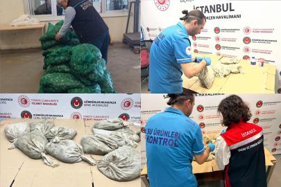Sınır kapılarında kaçak su ürünü operasyonu: 760 kg midye ve 21 kg sülük ele geçirildi