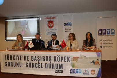 “Türkiye’de Başıboş Köpek Sorunu” panelinde güncel durum ele alındı