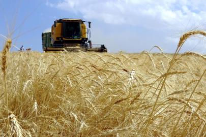 Kırsal kalkınma desteklerinde başvuru süresi uzatıldı