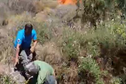 Bodrum'da otluk ve makilik alanda yangın (4)