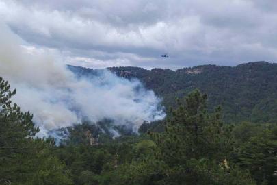 Antalya'daki orman yangını, 22 saatte kontrol altına alındı