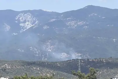 Balıkesir Edremit'te orman yangını. Ekipler müdahale ediyor