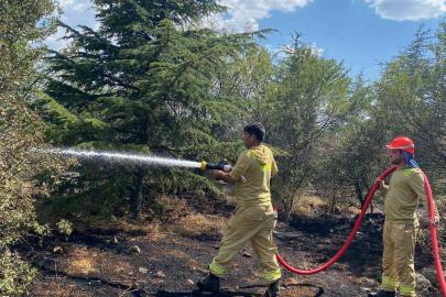 Isparta'da orman yangını büyümeden kontrol altına alındı