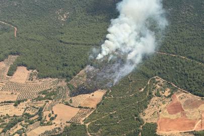 Muğla Yatağan'da orman yangını. Ekipler müdahale ediyor