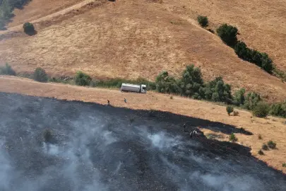 Tunceli'de otluk alandaki yangın ormana sıçradı. Ekipler müdahale ediyor