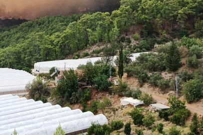 Antalya Kumluca'da orman yangını (2)