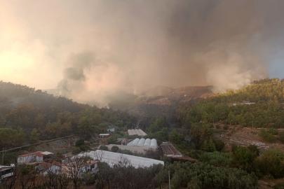 Antalya Kumluca'da orman yangını (3)