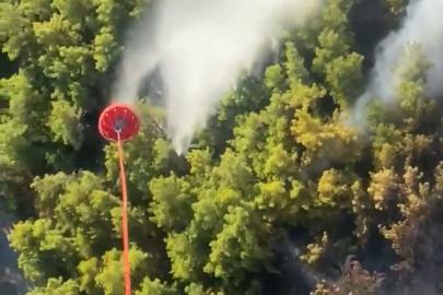 Antalya'da orman yangını