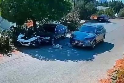Otomobilin 2 köpeğin üzerinden geçmesine ilişkin soruşturma başlatıldı